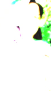 Teaser exhib walking