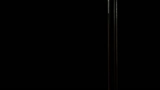 My Korean neighbors are having sex.