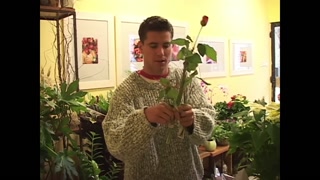 Non Stop fuckfest at belami this february