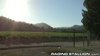 Sexy Hairy Muscle Latino Male Mouth Fucks You At The Bar!