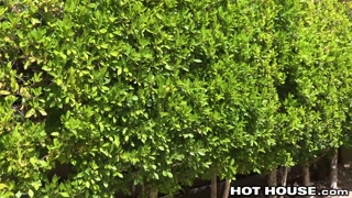 HotHouse Tattooed Plumber Danny Gunn &amp; 2 Daddy Clients 3-Way