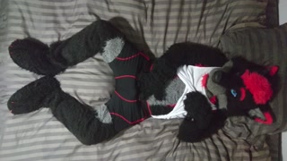 Sexy Fursuit Stripping