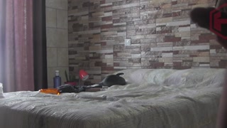 My winsurf teacher wants to get creampie