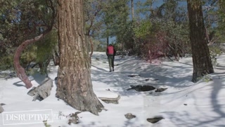 Tied Up Twink Lets Go and Submits To Wild Man - Adam Ramzi, Troye Jacobs - DisruptiveFilms