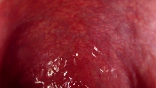 Internal View Large Bad Dragon Rex Fucks And Cums In My Ass Twice