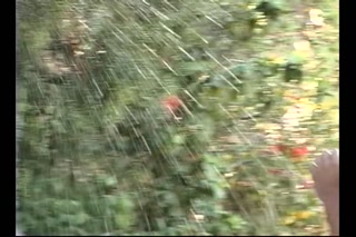 NAKED CAR WASH at Spa Studs Resort