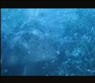 Asian Chinese Sex - KUNG FU style crazy fucking weird funny